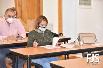 Pleno ordinario de diciembre de 2020/Francisco Javier Santana.